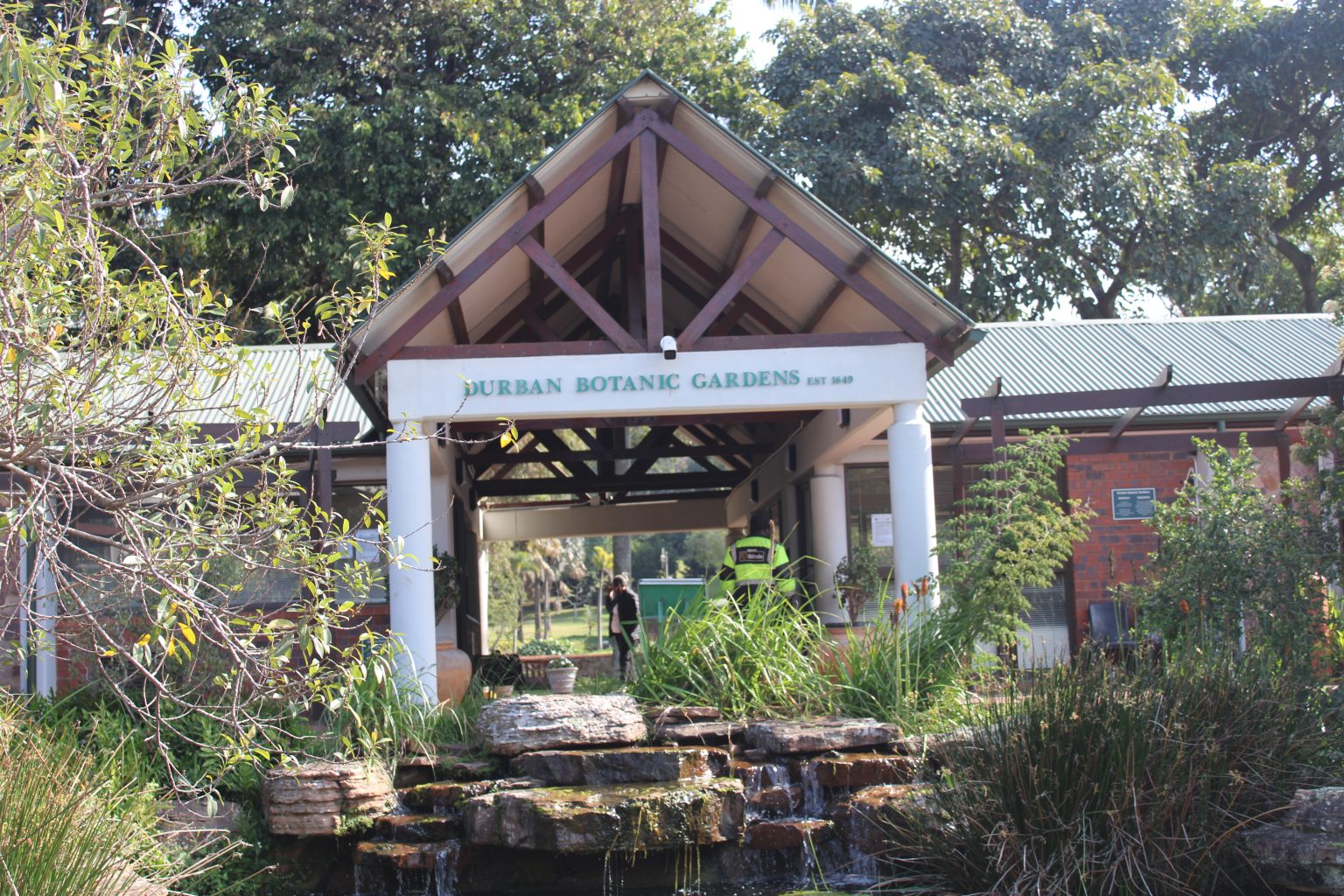 Durban Botanic Gardens: Explore Africa’s oldest surviving botanical garden